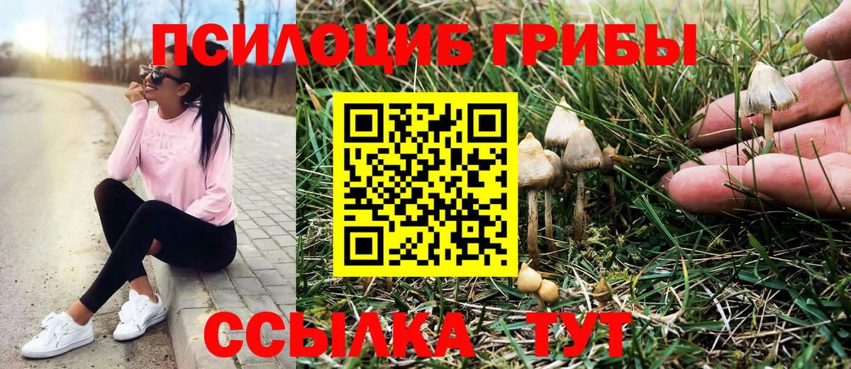 Нижнекамск  Галлюциногенные грибы мухоморы  купить наркотики сайты  Вход с VPN 